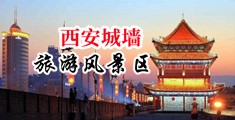 嗯~啊~龟头好大好爽~要被大鸡巴干疯了视频在线观看中国陕西-西安城墙旅游风景区